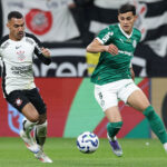 Palmeiras