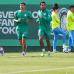 Palmeiras