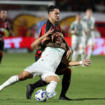 Palmeiras