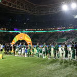 Palmeiras