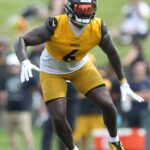 Jul 24, 2025; Latrobe, PA, USA; Pittsburgh Steelers linebacker Patrick Queen (6) participates in drills during training camp at Saint Vincent College. Mandatory Credit: Charles LeClaire-Imagn Images