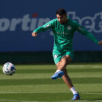 Palmeiras