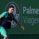 Palmeiras