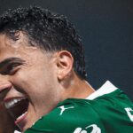 Bruno Rodrigues