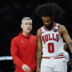 Bulls
