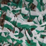 Torcida do Palmeiras com bandeiras verde e branca no Allianz Parque