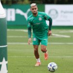Palmeiras