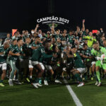 Palmeiras