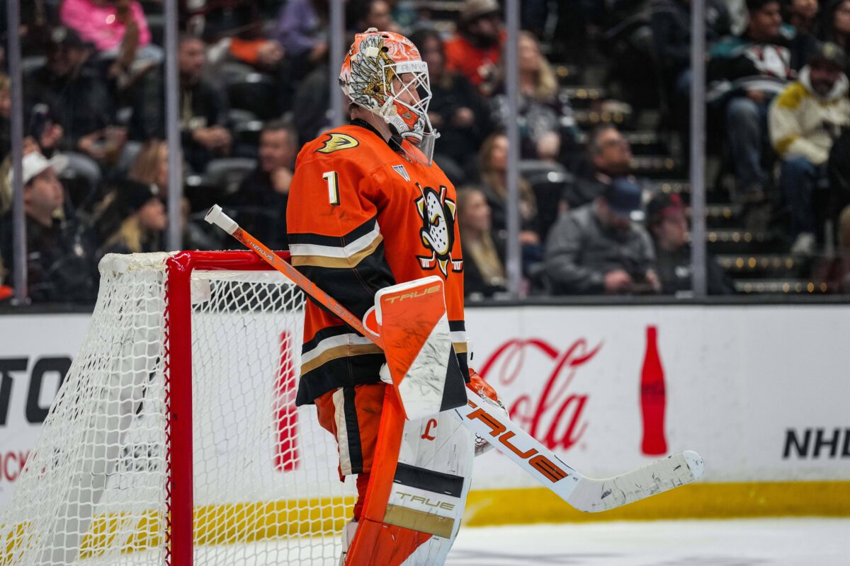 Lukas Dostal Ducks
