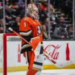 Lukas Dostal Ducks