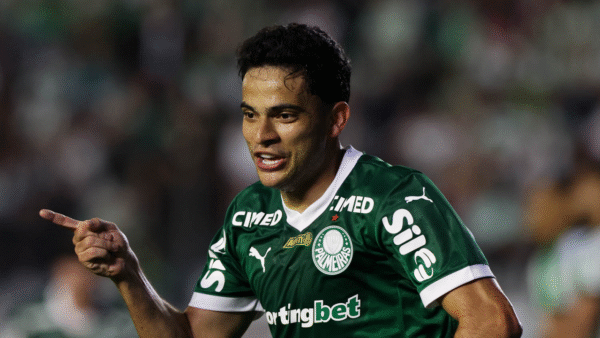 Bruno Rodrigues