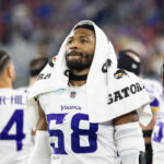 Vikings