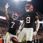 Falcons