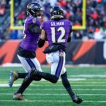 Baltimore Ravens Cincinnati Bengals NFL 2025 Semana 15