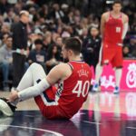 Ivica Zubac, Clippers