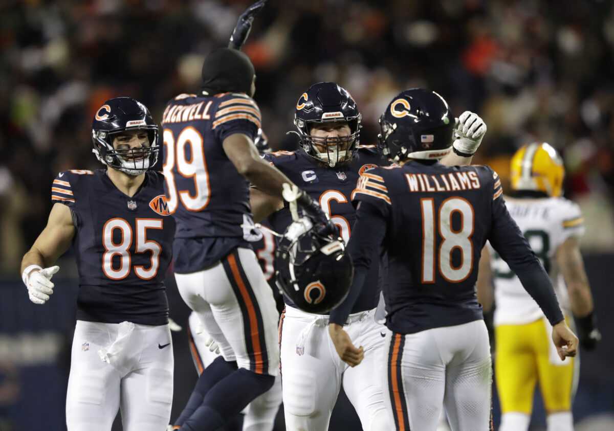Bears
