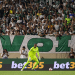 Palmeiras