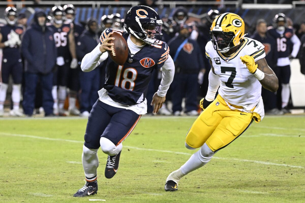 Bears