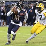 Bears