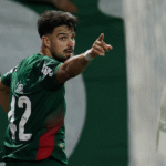Palmeiras