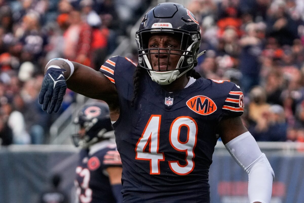 Bears