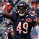 Bears