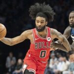 Coby White, Bulls, Hornets