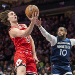 Bulls
