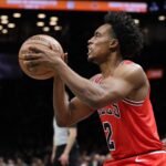 Bulls