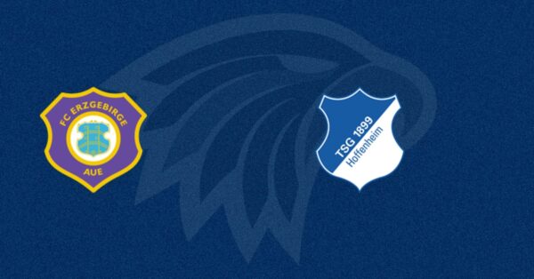 Erzgebirge Aue vs TSG Hoffenheim